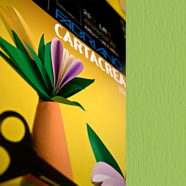 Cartoncino CartaCrea - 35 x 50 cm - 220 gr - verde pisello - Fabriano - blister…