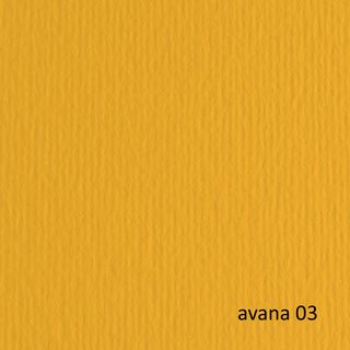 Cartoncino Elle Erre - 50 x 70 cm - 220 gr - avana 103 - Fabriano - blister 20 …