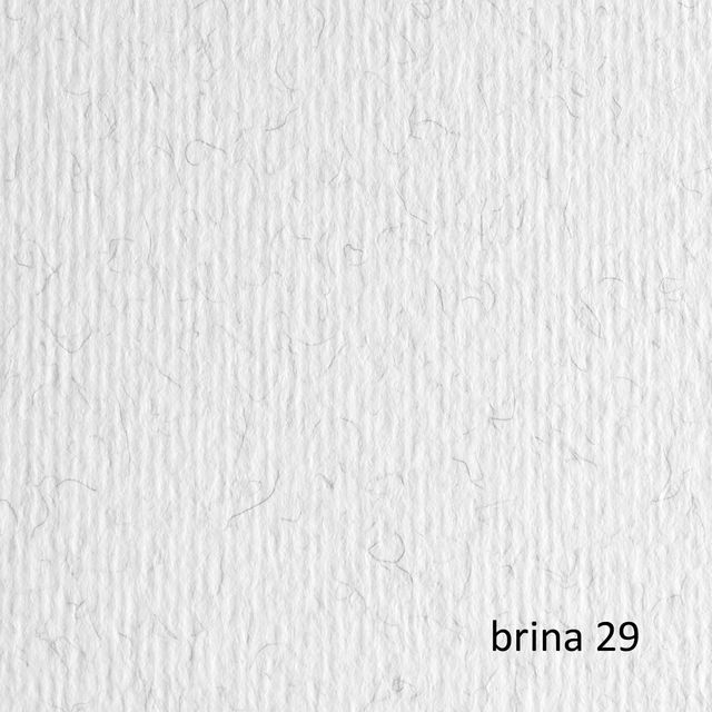 Cartoncino Elle Erre - 50 x 70 cm - 220 gr - brina 29 - Fabriano - blister 20 f…
