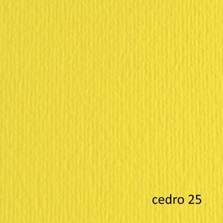Cartoncino Elle Erre - 50 x 70 cm - 220 gr - cedro 25 - Fabriano - blister 20 f…