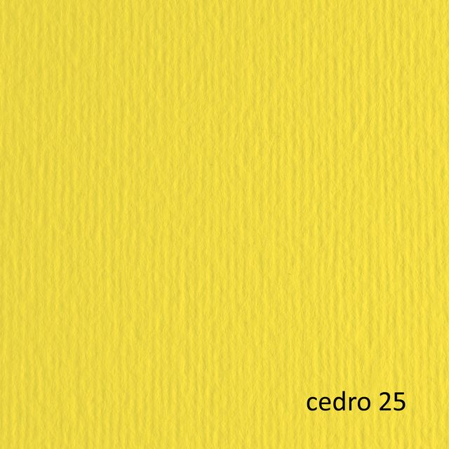 Cartoncino Elle Erre - 50 x 70 cm - 220 gr - cedro 25 - Fabriano - blister 20 f…