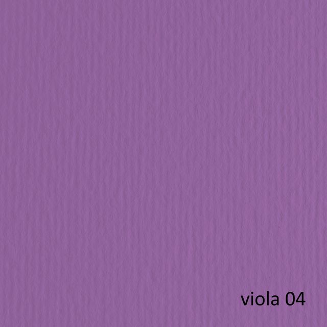 Cartoncino Elle Erre - 50 x 70 cm - 220 gr - viola 104 - Fabriano - blister 20 …