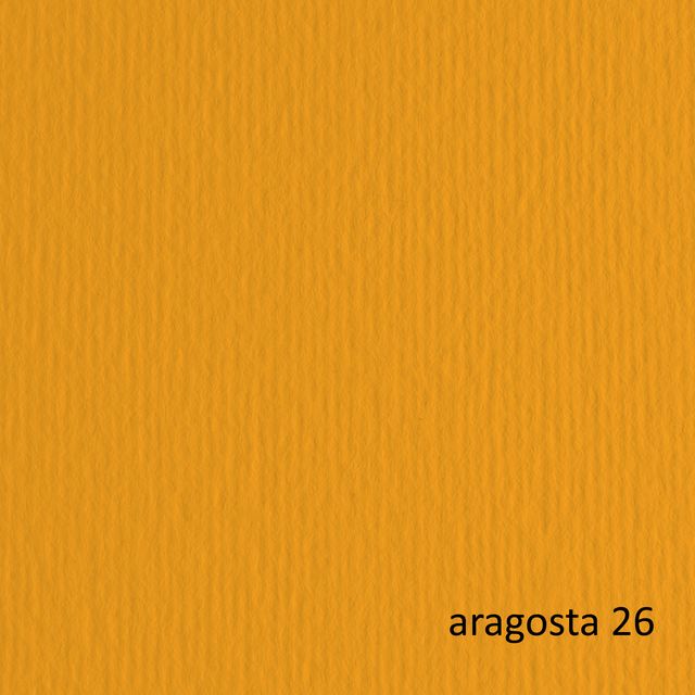 Cartoncino Elle Erre - 70 x 100 cm - 220 gr - aragosta 126 - Fabriano - blister…