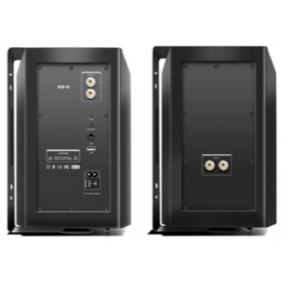 AUDIO VIDEO SOLUTIONS DIFFUSORI WIRELESS WWS6 MULTIR
