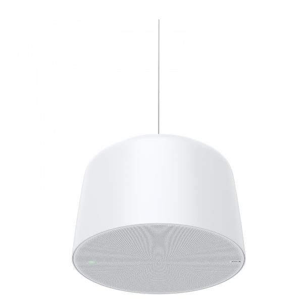 AXIS C1510 NETWORK PENDANT SPEAKER
