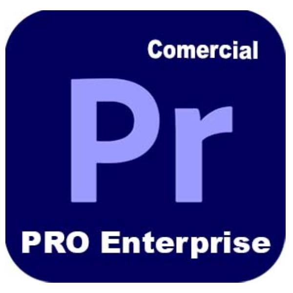 Adobe Premiere Pro - Edition 4 for enterprise - Nuovo abbonamento (1 anno) - 1 …