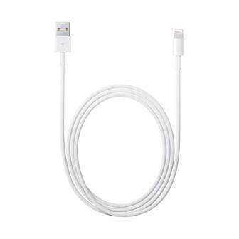 Apple - Cavo Lightning - Lightning maschio a USB maschio - 2 m