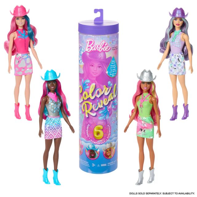 BARBIE Color Reveal COUNTRY CHIC ASST. JCP01