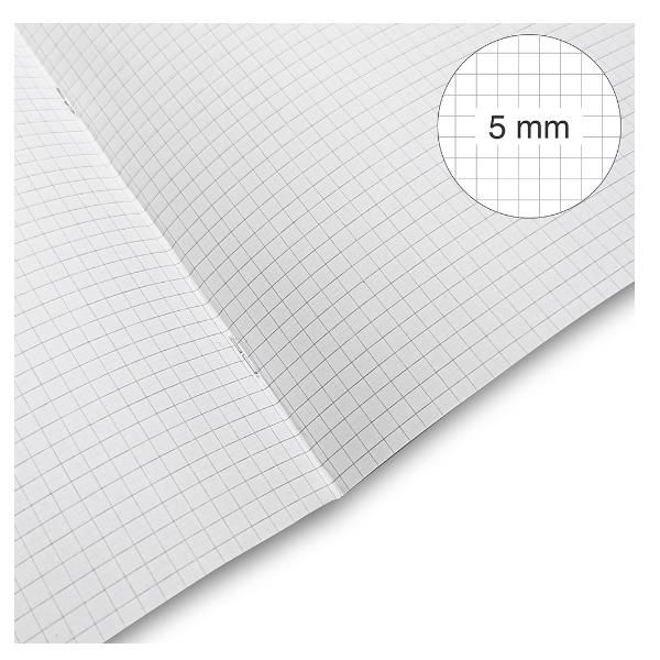 BE MORE CF10MAXIQUAD. A4 100GR R.5MM COLASS