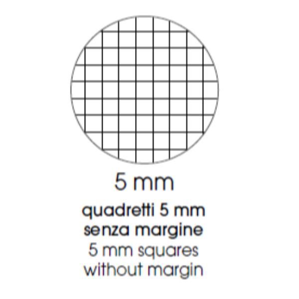 BE MORE FLOR MAXI QUADERNO PUNTO METALLICO 100GR 210X297 mm A4 48 FOGLI A QUADR…