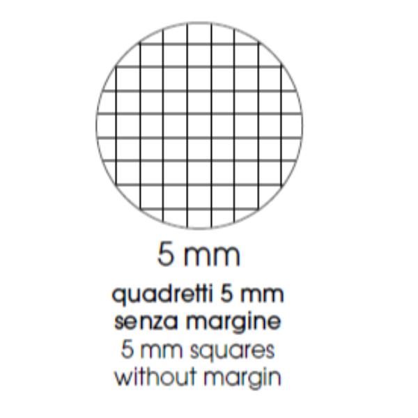 BE MORE MAXI SPIRALATO FLUO QUADERNO 80GR 210X297 mm A4 60 FOGLI A QUADRETTI 5M…