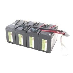APC Replacement Battery Cartridge #25 - Batteria UPS - Piombo - per P/N: SU1400…