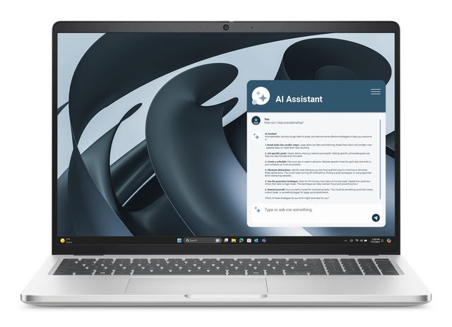 DELL Pro 16 Plus PB16255 AMD Ryzen™ 5 220 Laptop 40.6 cm (16") Full HD+ 16 GB L…