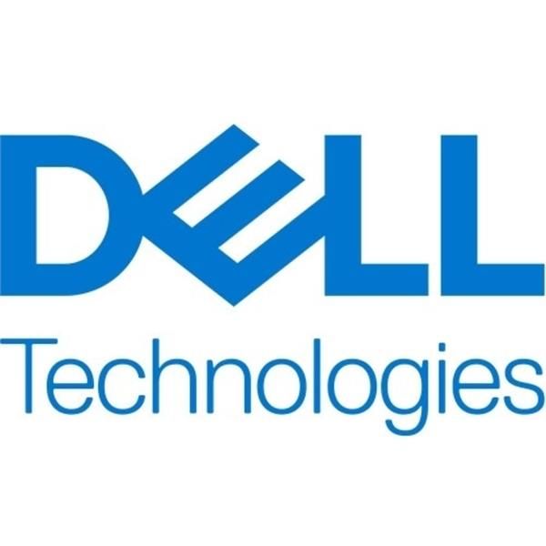 DELL TECHNOLOGIES 960G NVME RI FIPS-140 M.2 SINGLE S
