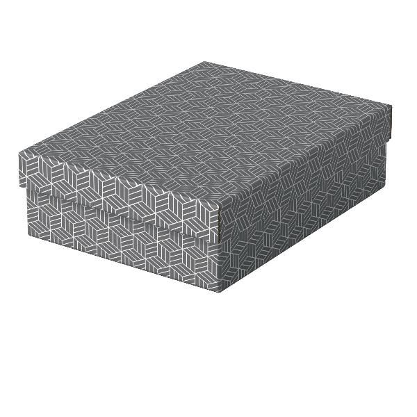 ESSELTE CF3 SCATOLA CARTONE RICICLATO GRIGI