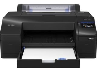 Epson SureColor P5300 - 17" stampante grandi formati - colore - ink-jet - Rotol…