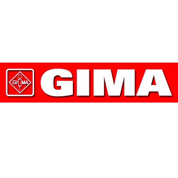 GIMA SCHEDA SD+SOFTWARE PER 35340/1
