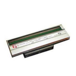 Datamax - 203 dpi - testina di stampa - per M-Class Mark II M-4206