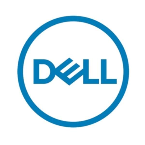 Dell - Kit Cliente - SSD - Read Intensive - 3.84 TB - hot swap - 2.5" - SAS 22.…