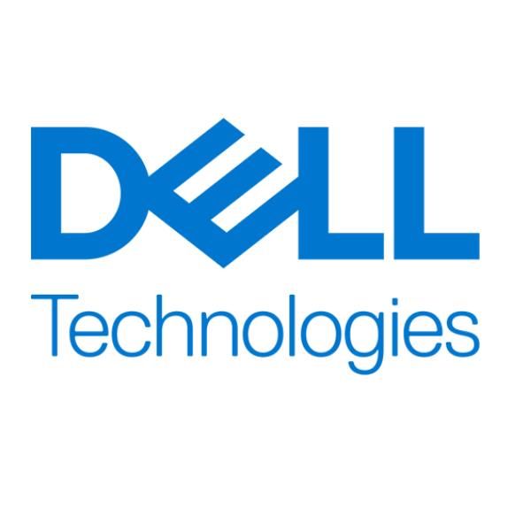 Dell 1.6TB SSD up to SAS 24Gbps FIPS-140 Mixed Use 512e 2.5in 3DWPD CK