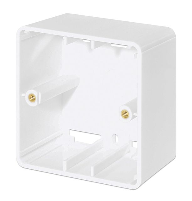 Intellinet 771894 Scatola NAT per presa 2xRJ45