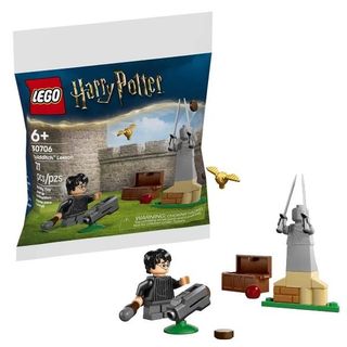 LEGO HARRY POTTER LEZIONE DI QUIDDITCH PICCOLO SET DA COSTRUIRE