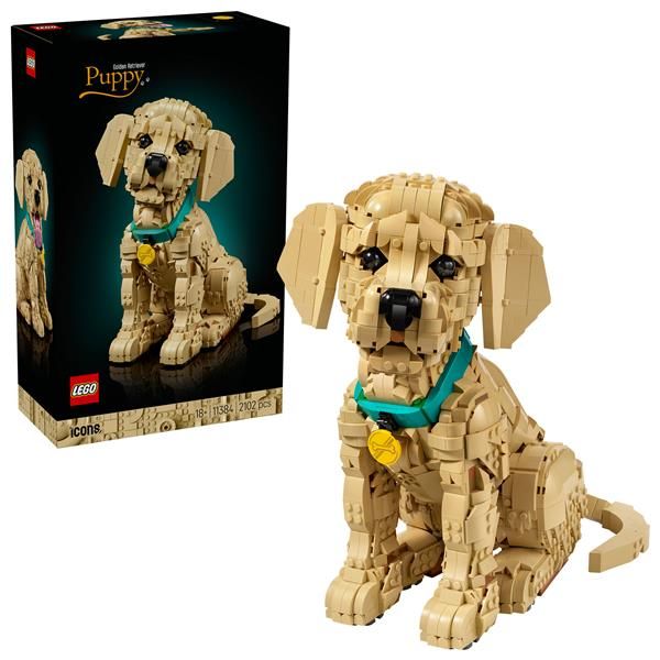 LEGO ICONS 11384