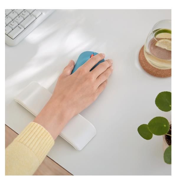 LEITZ COSY ERGO POGGIAPOLSI MOUSE GRIG.CH