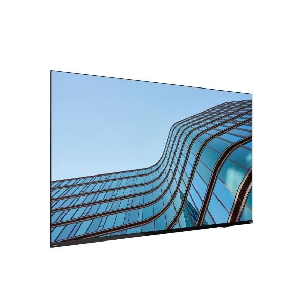 LENOVO THINKVISION E55