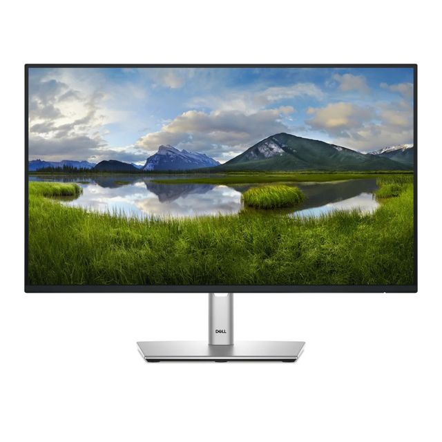 Dell P2425HE - Monitor a LED - 24" (23.81" visualizzabile) - 1920 x 1080 Full H…
