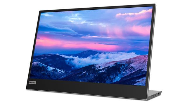 Lenovo L15 Monitor PC 39,6 cm (15.6") 1920 x 1080 Pixel Full HD LED Nero, Grigio