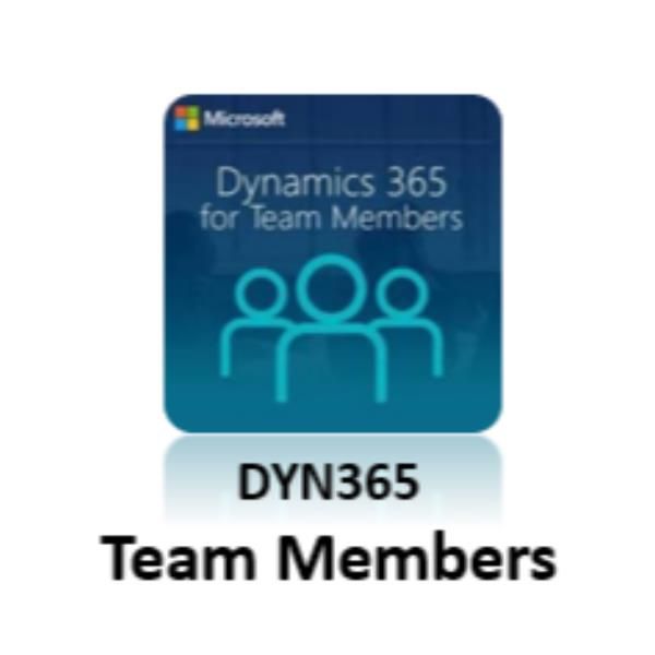 MICROSOFT DYNAMICS 365 TEAM MEMBERS