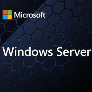 MICROSOFT WINDOWS SERVER CAL 2025 IT 1DEV CAL