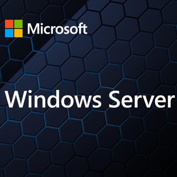 MICROSOFT WINDOWS SERVER CAL 2025 IT 1DEV CAL