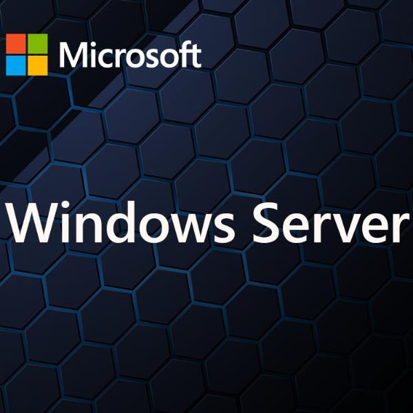 MICROSOFT WINDOWS SERVER CAL 2025 IT 5DEV CAL