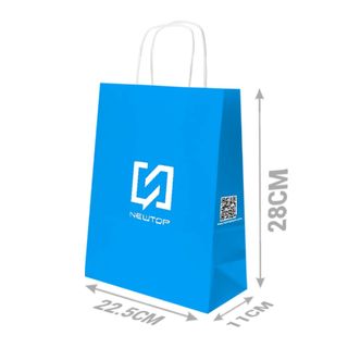 NEWTOP SCT02 SACCHETTO CARTA M 22.5X28X11