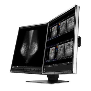Eizo RadiForce RX560-MD