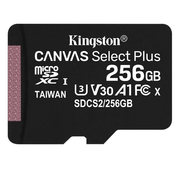PARTI DI RICAMBIO 256GB MICROSDXC CANVAS SELECT