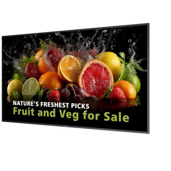 PHILIPS 65 MONITOR UHD 24/7 600 NITS