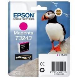 Epson T3243 - 14 ml - magenta - originale - cartuccia d'inchiostro - per SureCo…