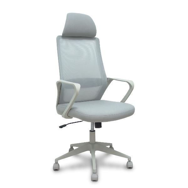 PIQUERAS Y CRESPO PRO534 RETE NE/TES NE/BR FIS/PT REG