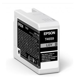 Epson UltraChrome Pro T46S9 - 25 ml - grigio chiaro - originale - serbatoio inc…
