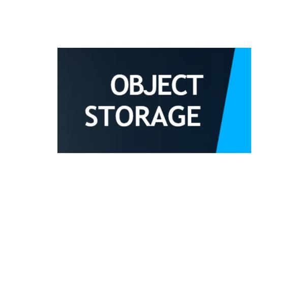 REEVO OBJECT STORAGE WORM EDITION - 1TB