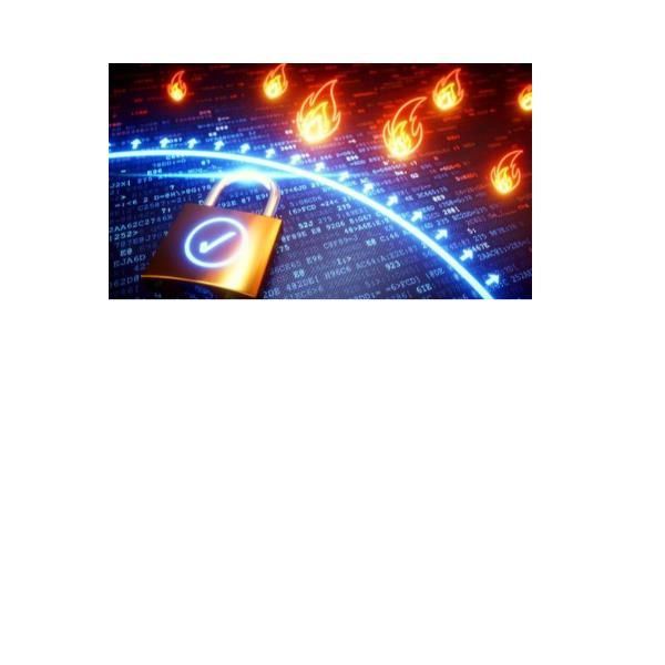 REEVO VIRT FRW-1ISTANZA DEDICATA-350MB