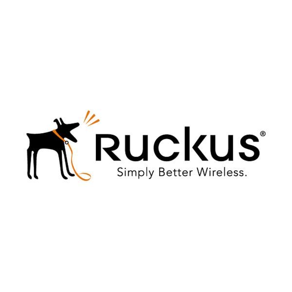 RUCKUS NETWORKS ADV HW REPL RENEW UNLEASHED R510