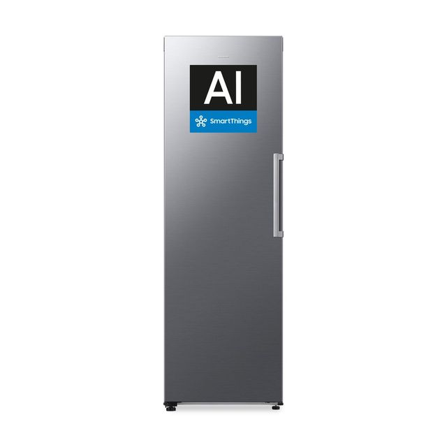 SAMSUNG FREEZER MONOPORTA SILVER CL. D