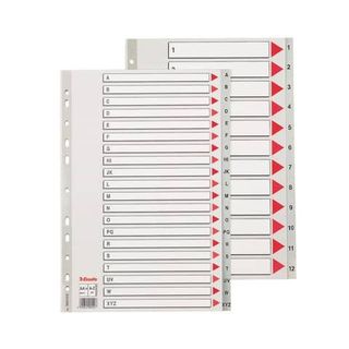 Esselte - Divisorio - per A4 Maxi - con schede - grigio