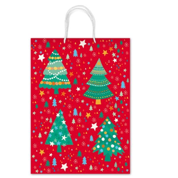 SAUL SADOCH REX BORSA IN CARTA CON CORDONCINO 20X25X10 CM FINITURA OPACA COLORI…