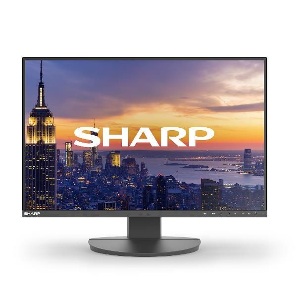 SHARP/NEC MULTISYNC DD-EA242W