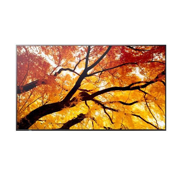 SHARP/NEC MULTISYNC M432